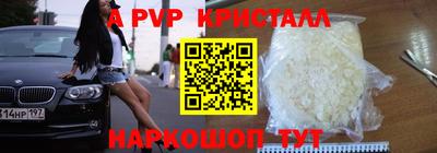герыч Майкоп